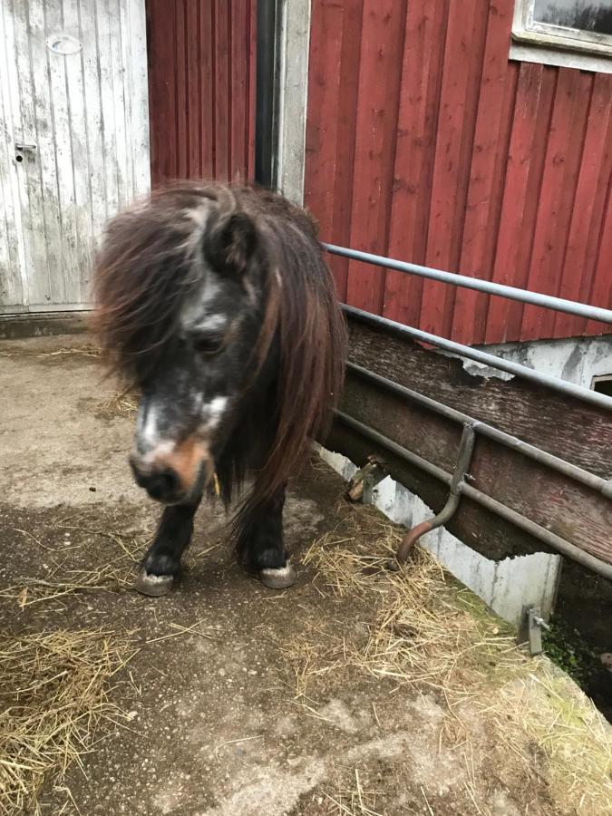 Bjorkely Gard Apartment Rasvag Bagian luar foto