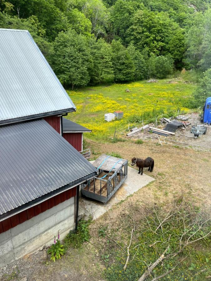 Bjorkely Gard Apartment Rasvag Bagian luar foto